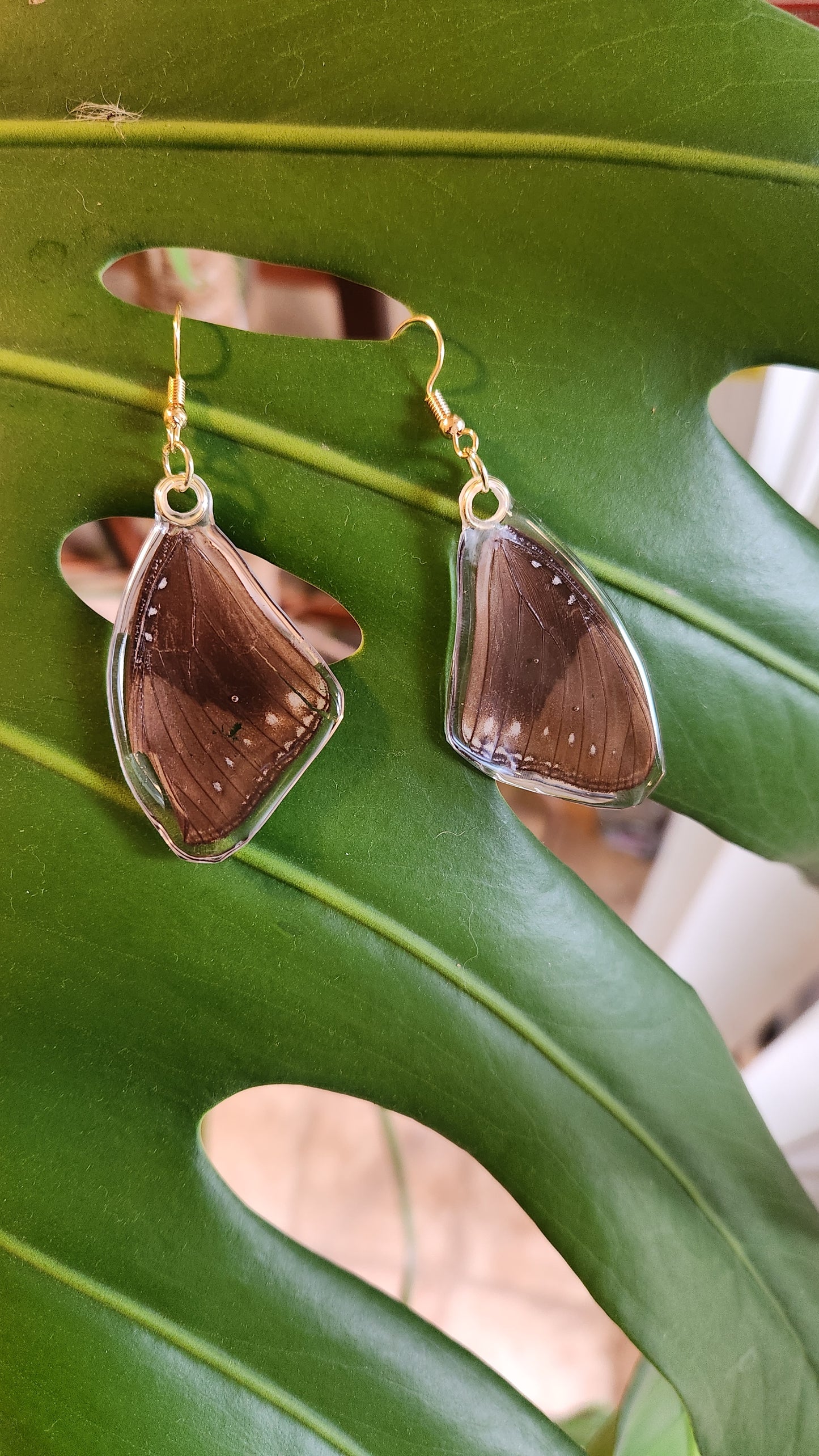 Ear-wings