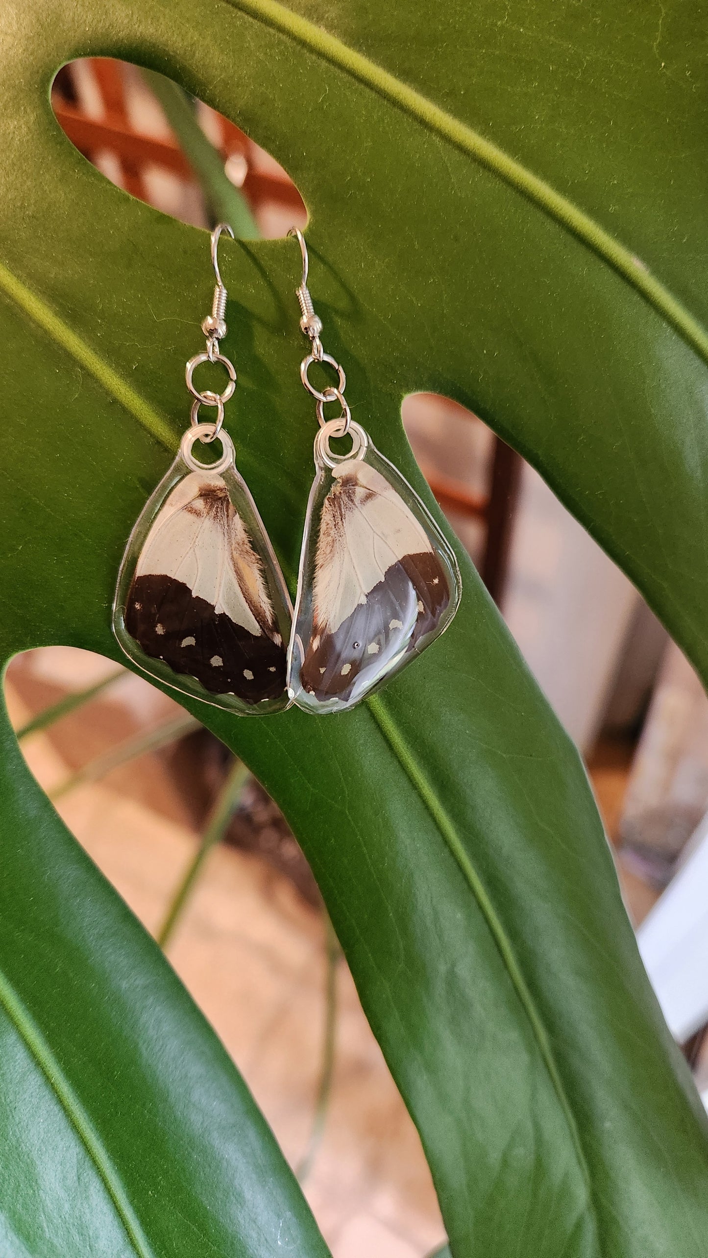 Blue bottle ear wings v2