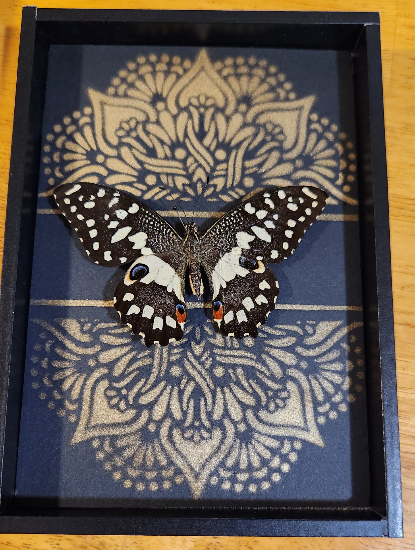 Gold stencil and Butterfly