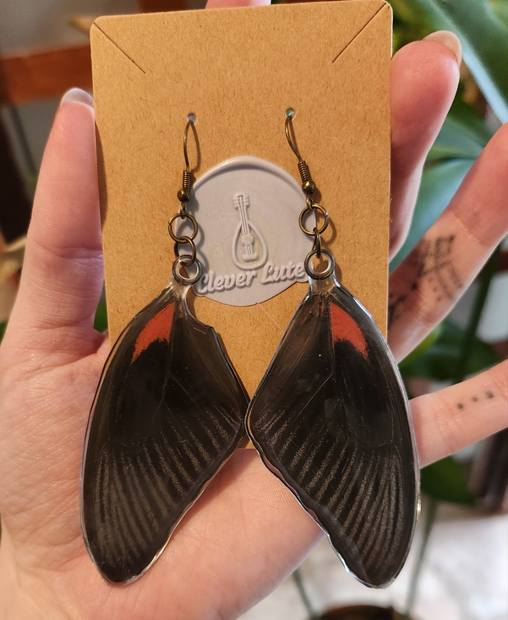 Elegant red ear-wings