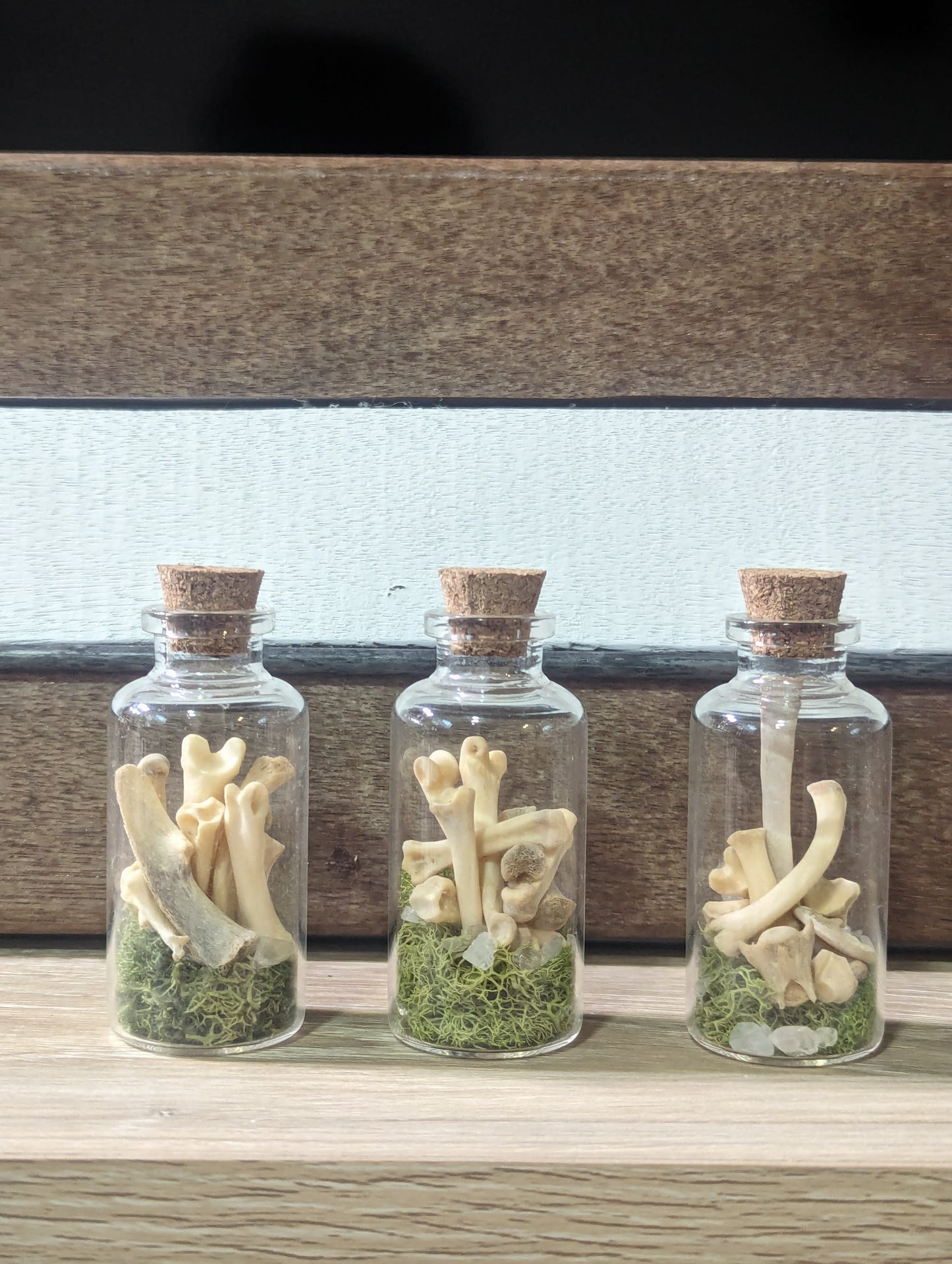 Jar of Lynx