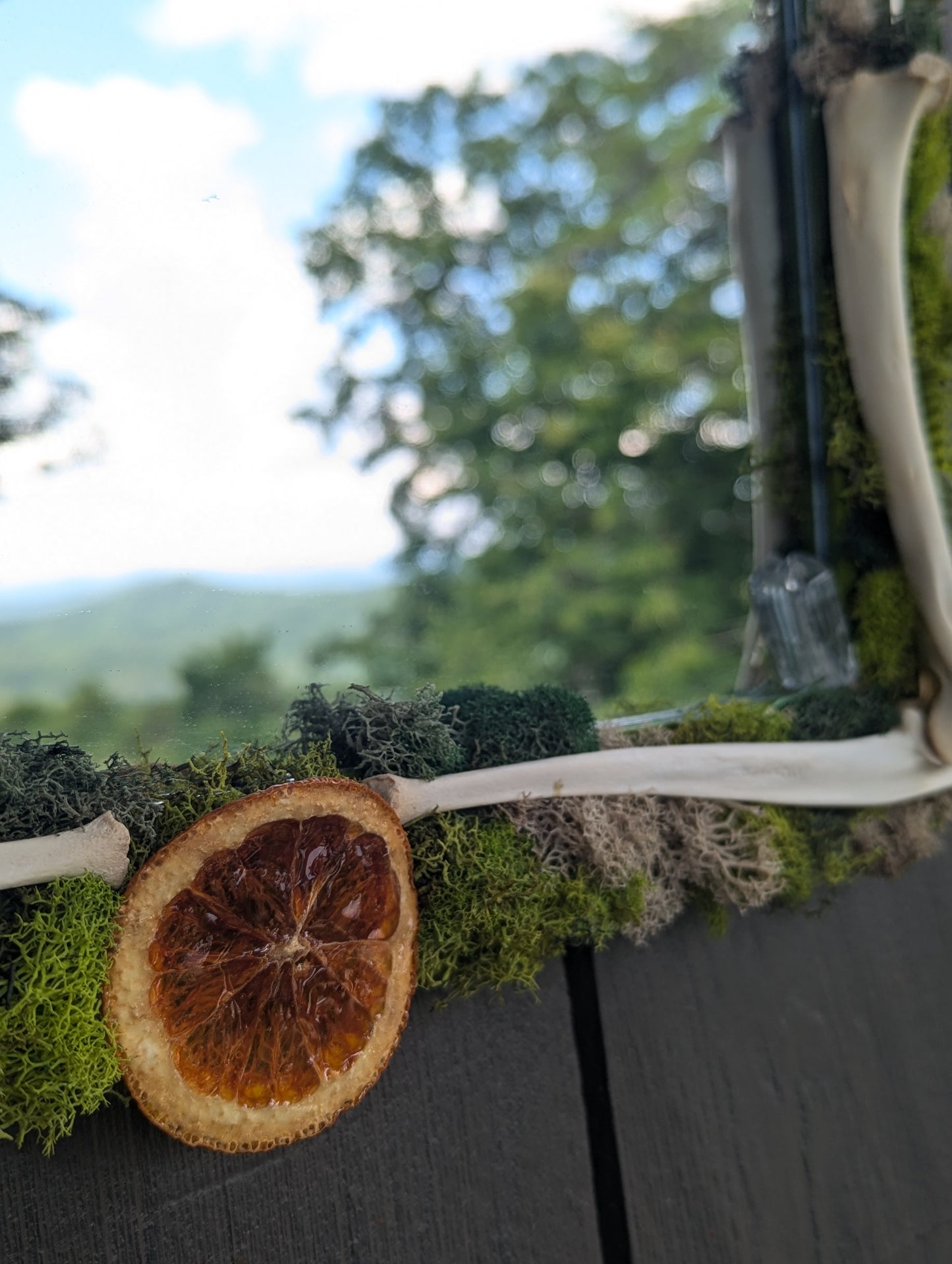 Summer Thyme Mirror