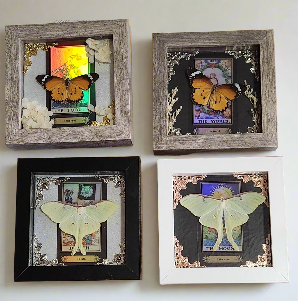 Tarot Collection