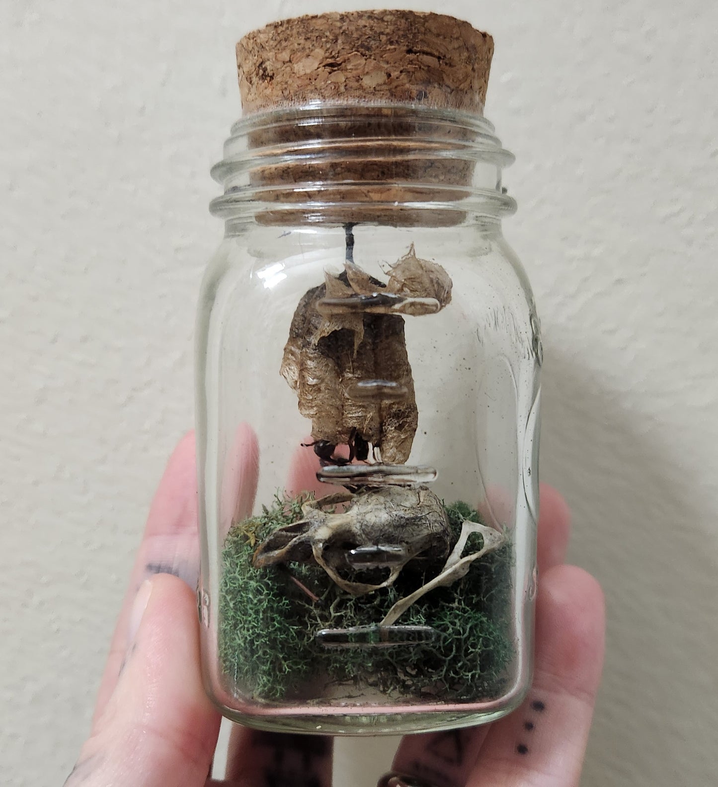 Protection Jar (wasp)