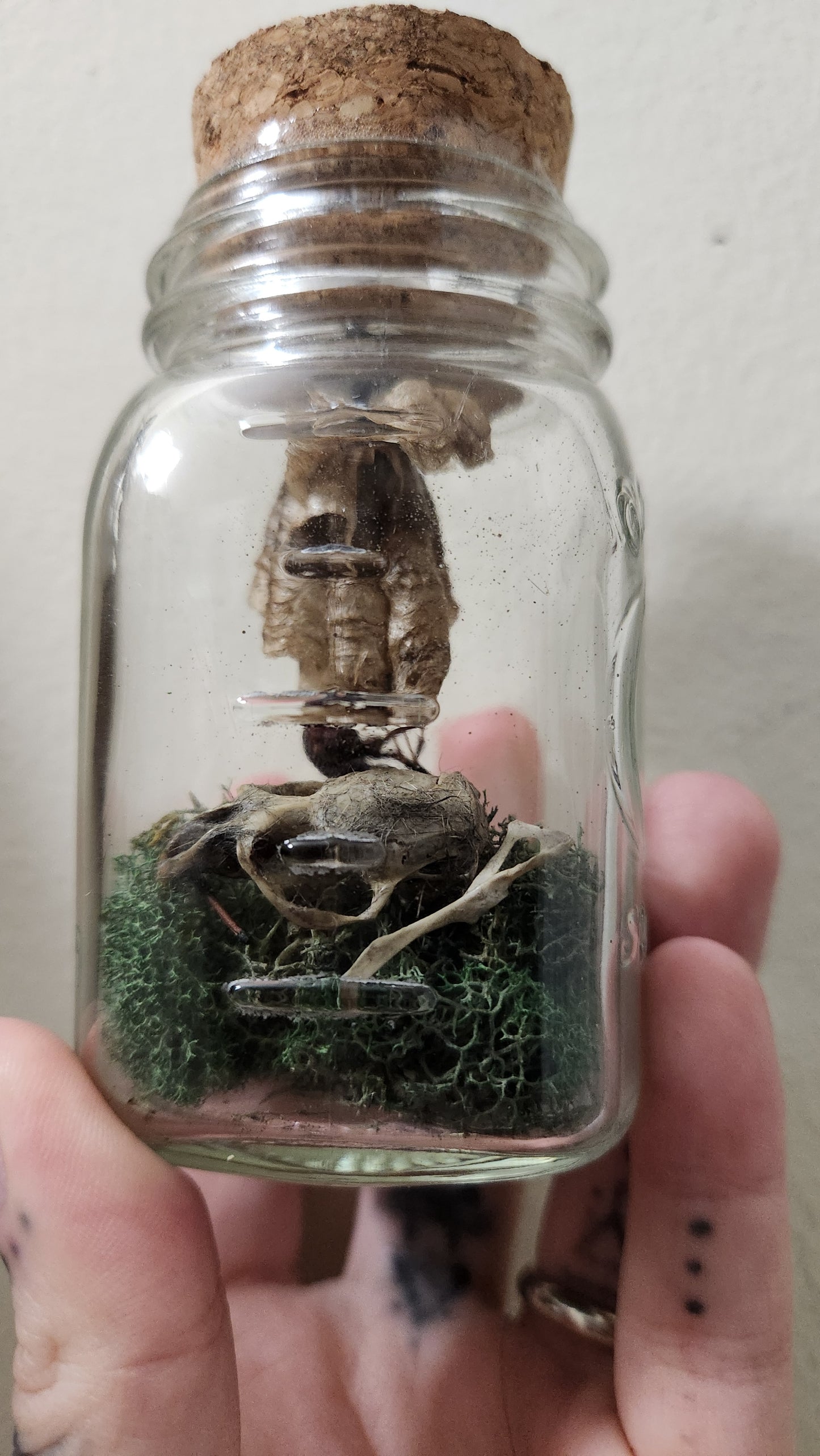 Protection Jar (wasp)