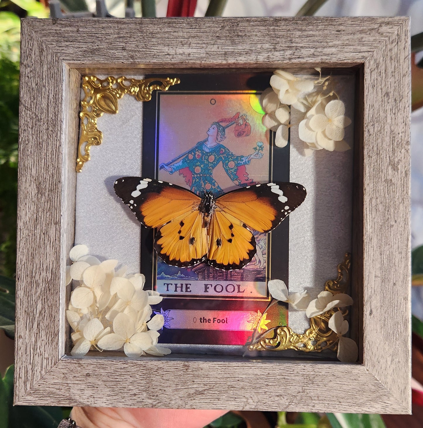 Tarot Collection