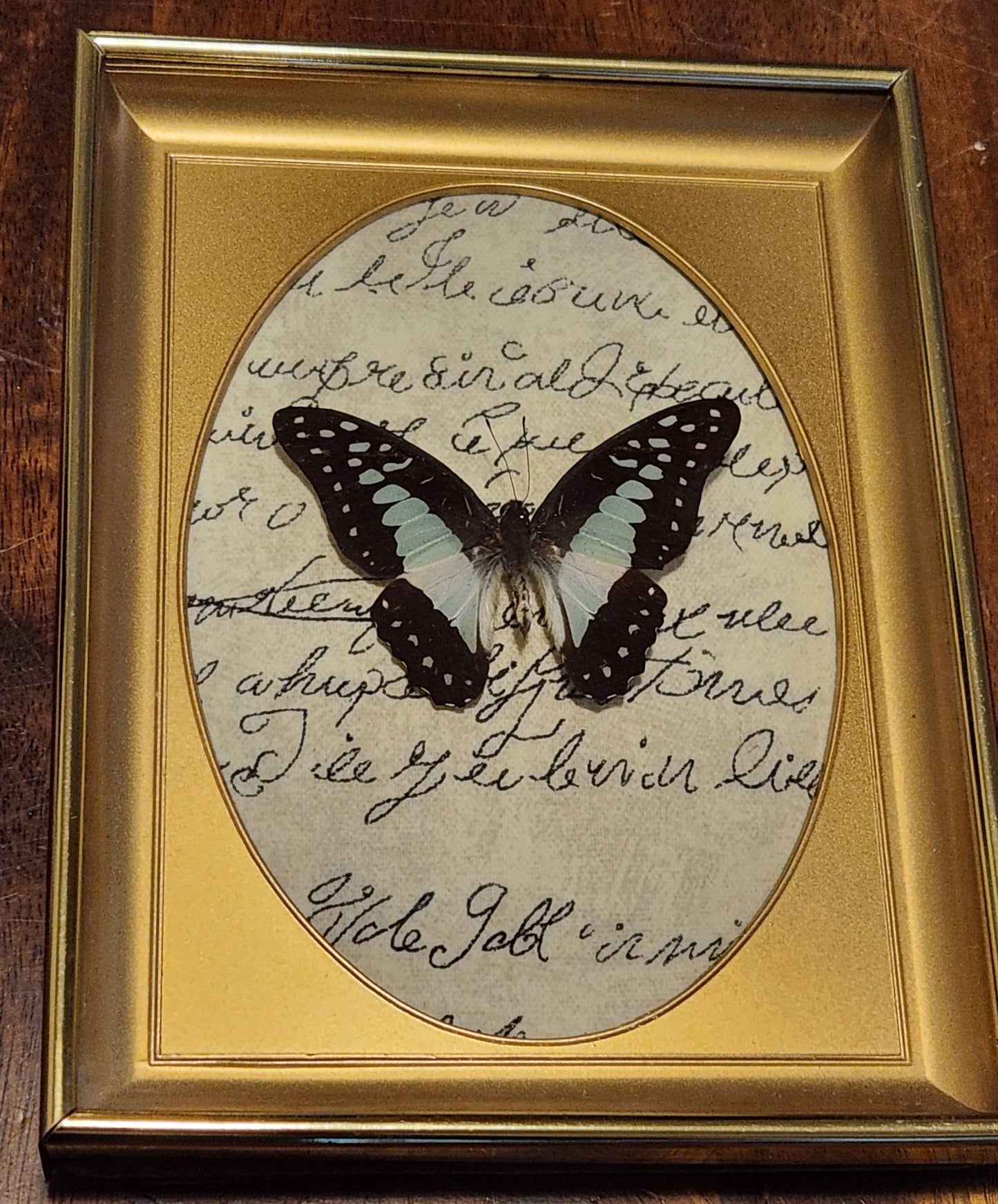 Blue Bottle Vintage Frame