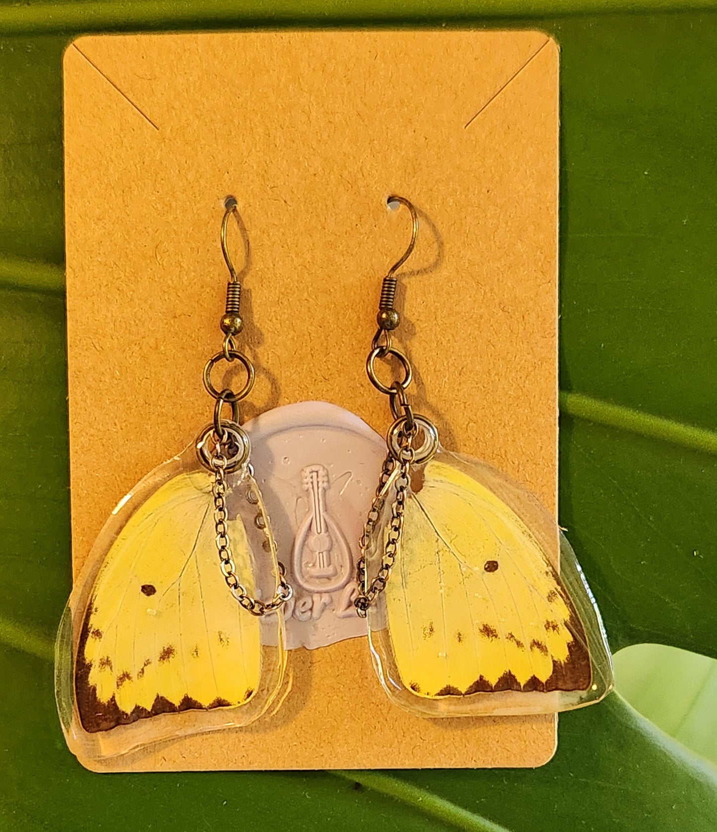Common Sulfur ear-wings