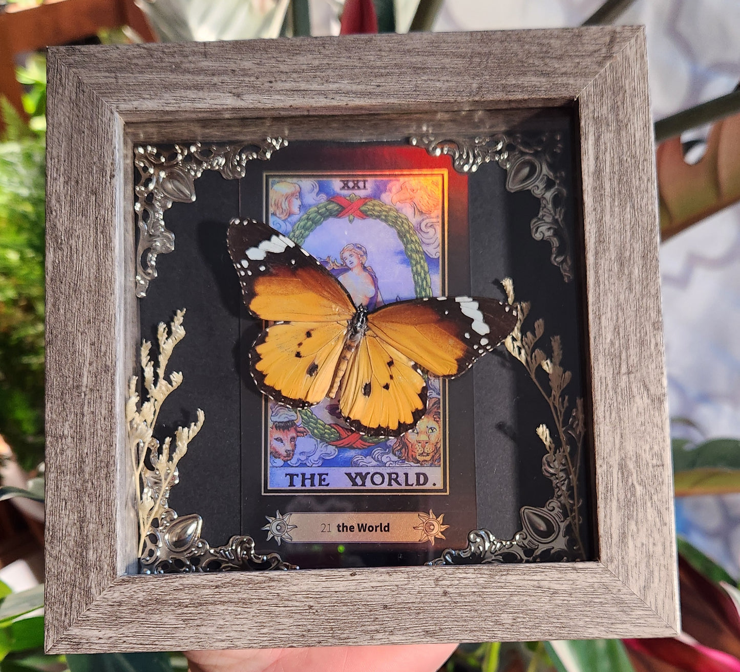 Tarot Collection