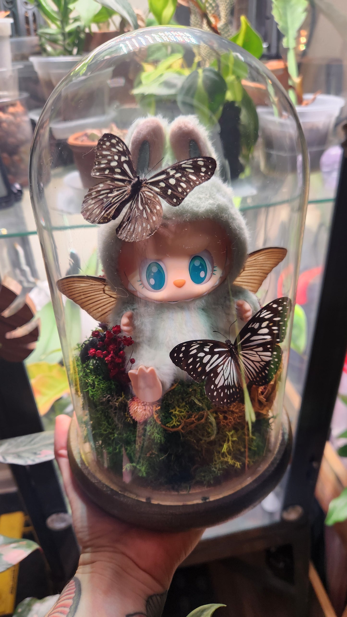 Fairybubu