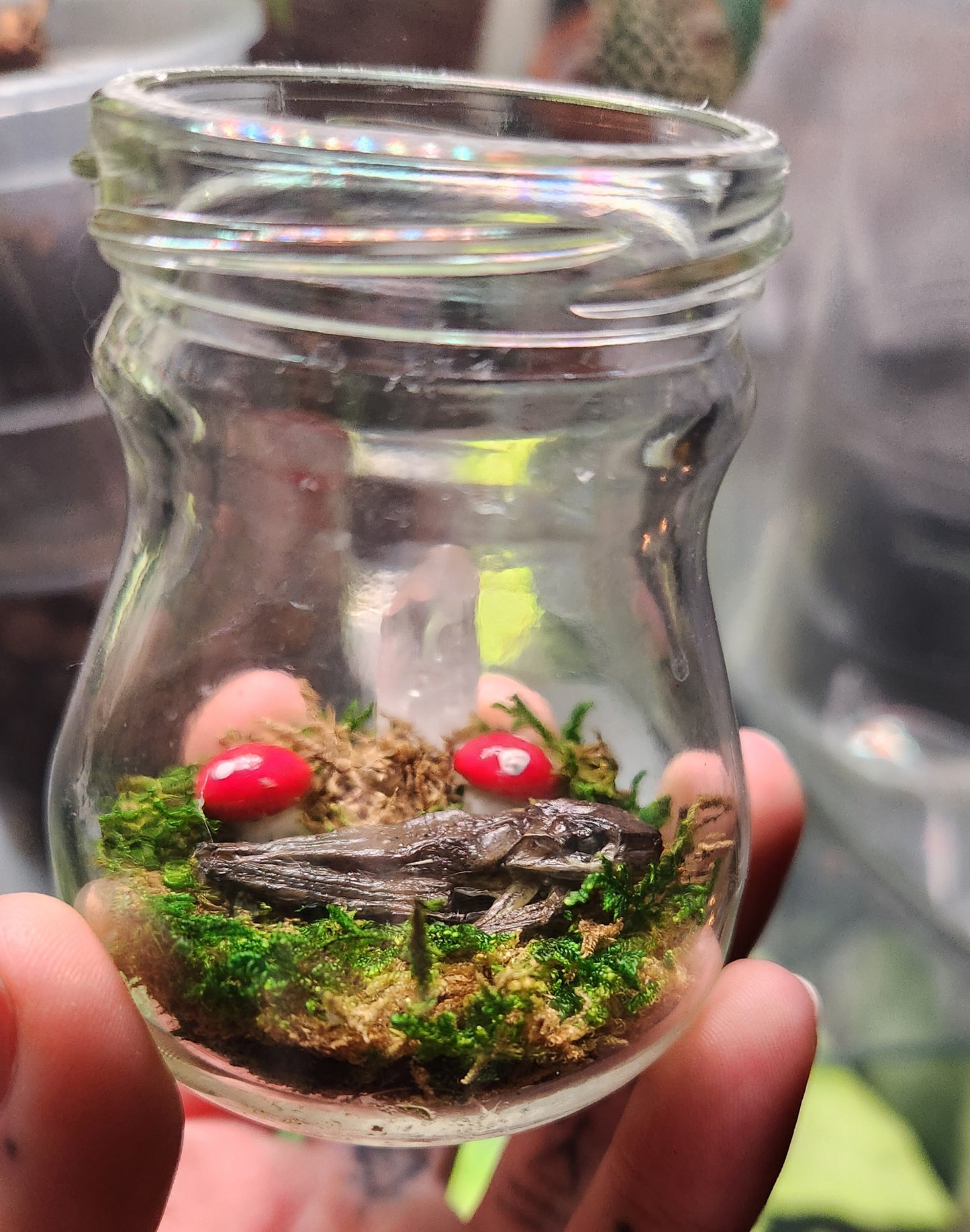 Mushroom Frog Jar