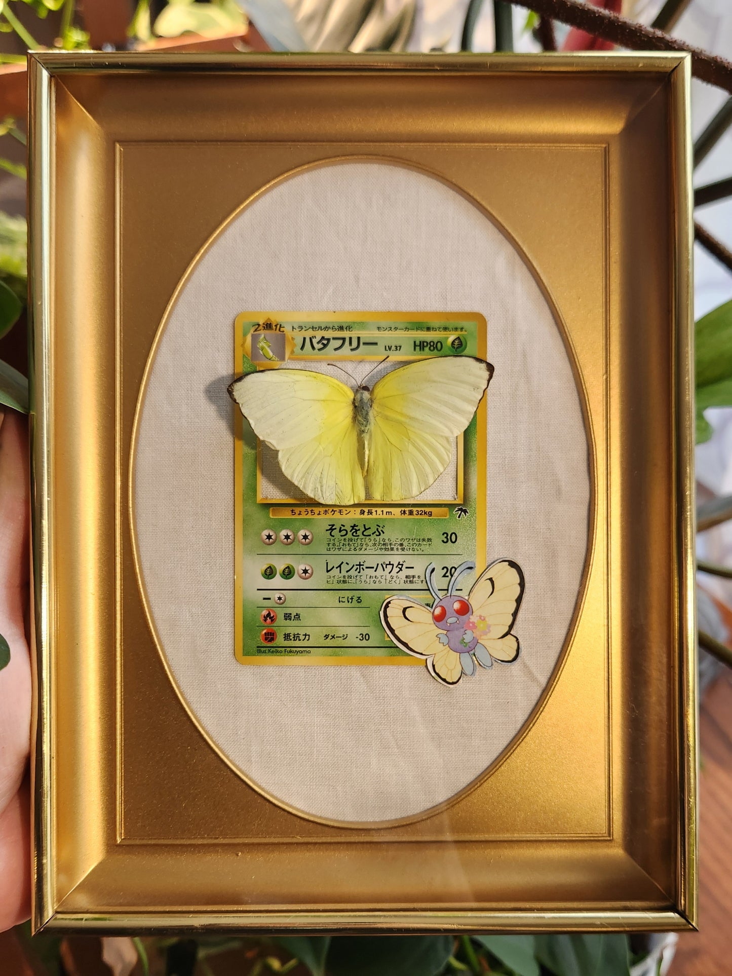 Vintage butterfly card