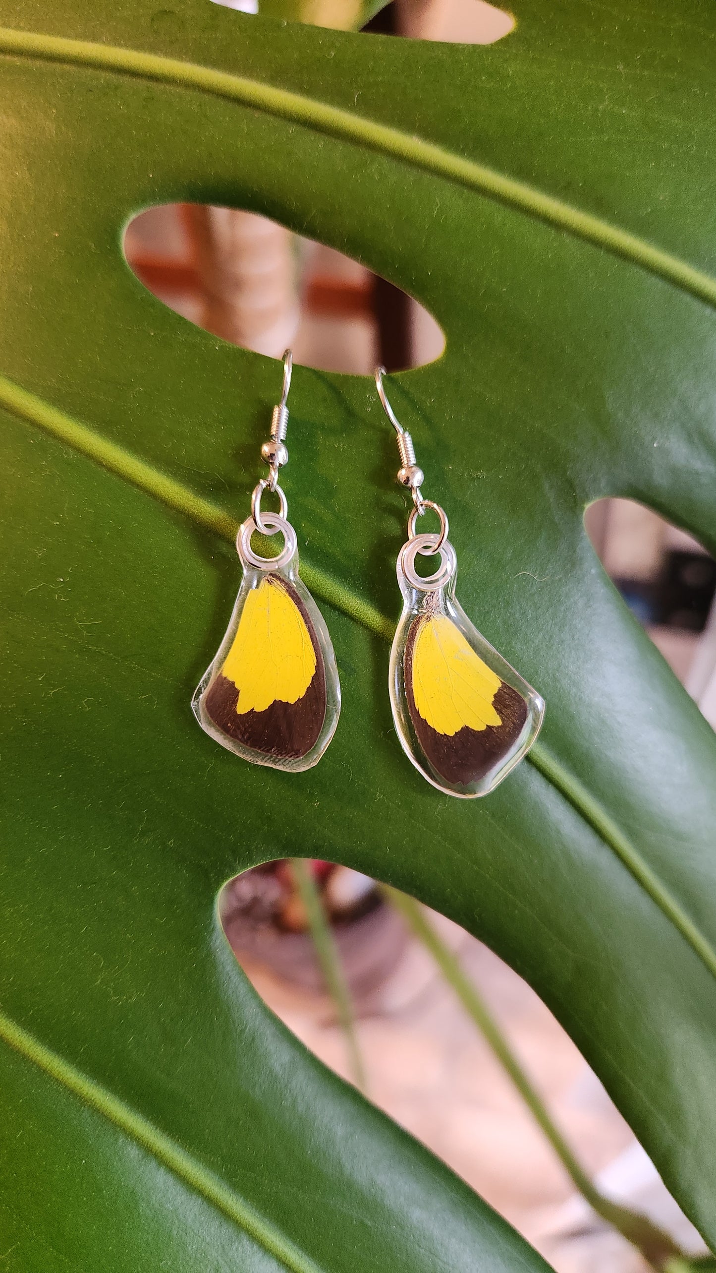 Yellow mini ear-wings