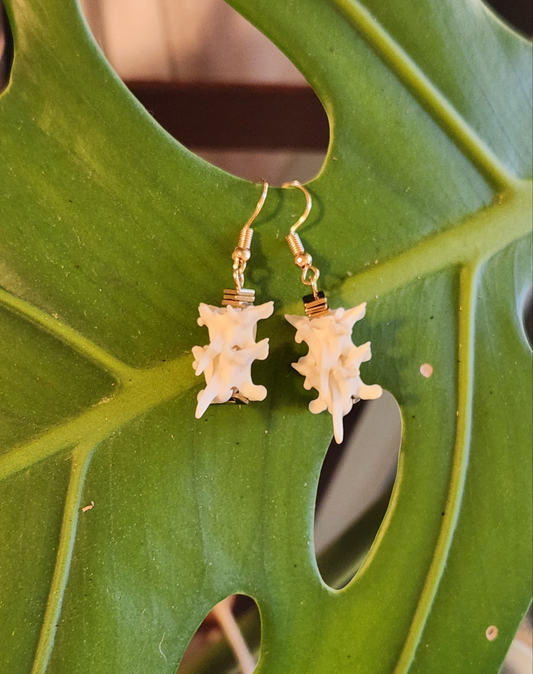 Vertebrae ear rings