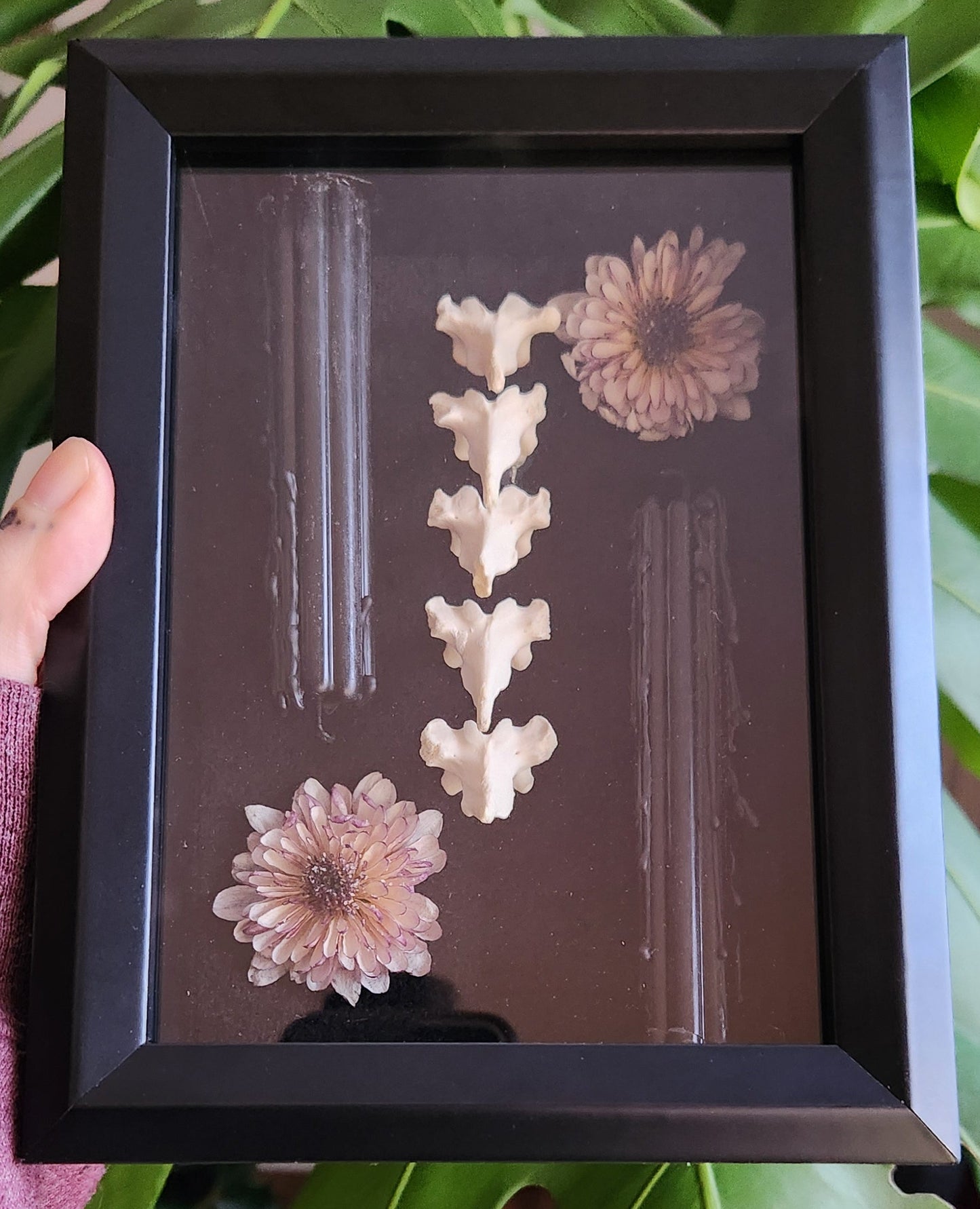 As above so below Bones