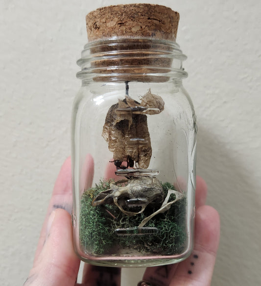 Protection Jar (wasp)
