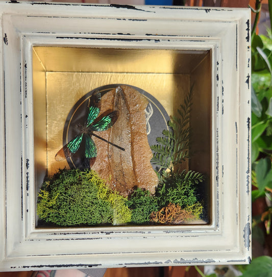 Fossilized fern