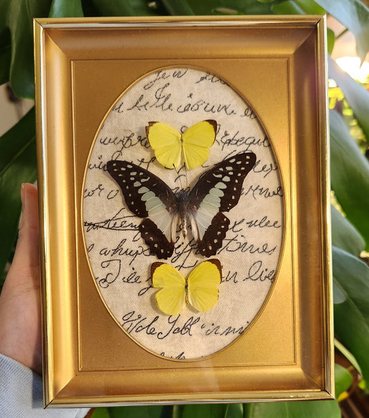 Blue Bottle Vintage Frame