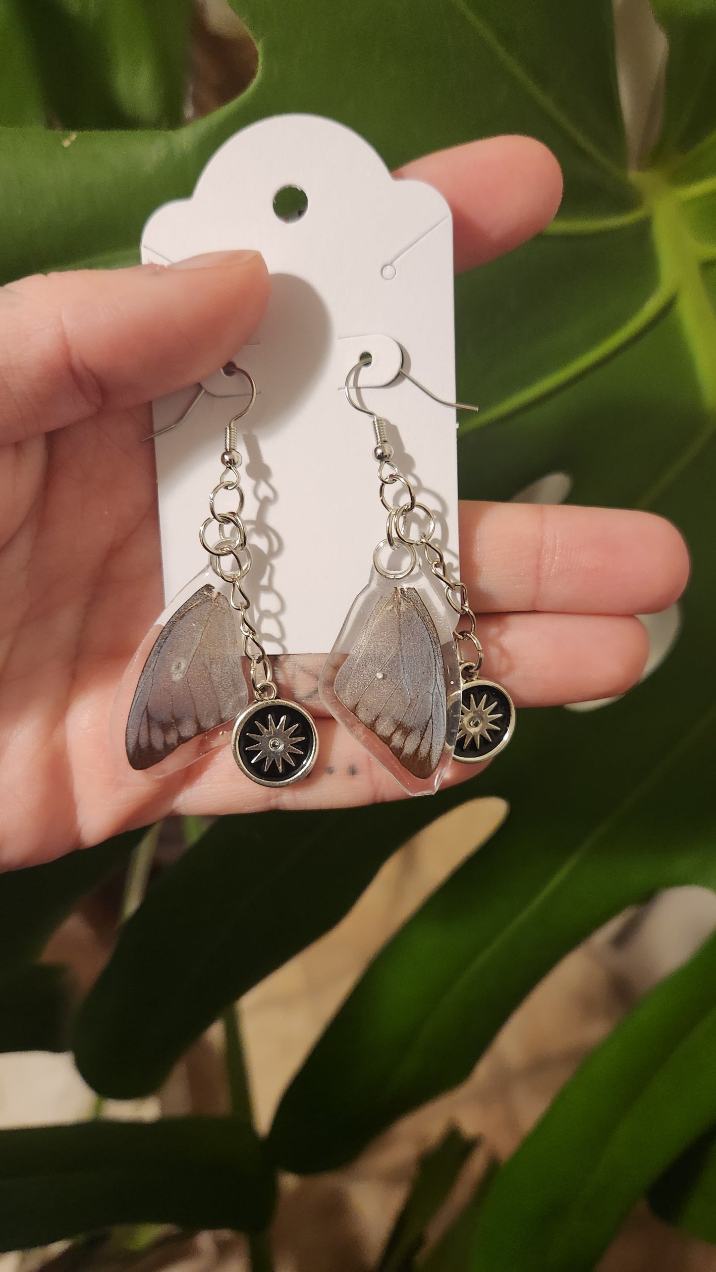 Little blue Ear-wings