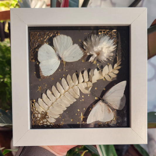 Whispers of Moonlight shadow box