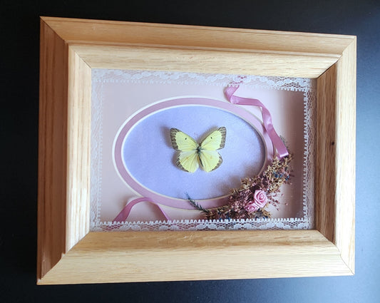 Pink and Yellow Frame