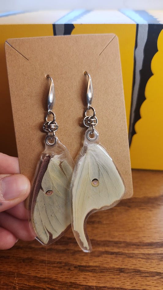 Butterfly ear-wings