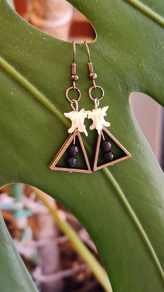 Triangle and Bone