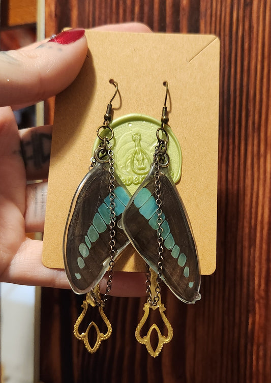 Blue bottle ear-wings