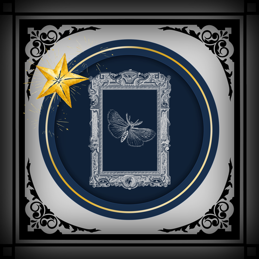 Shadow Box (Tier 1)
