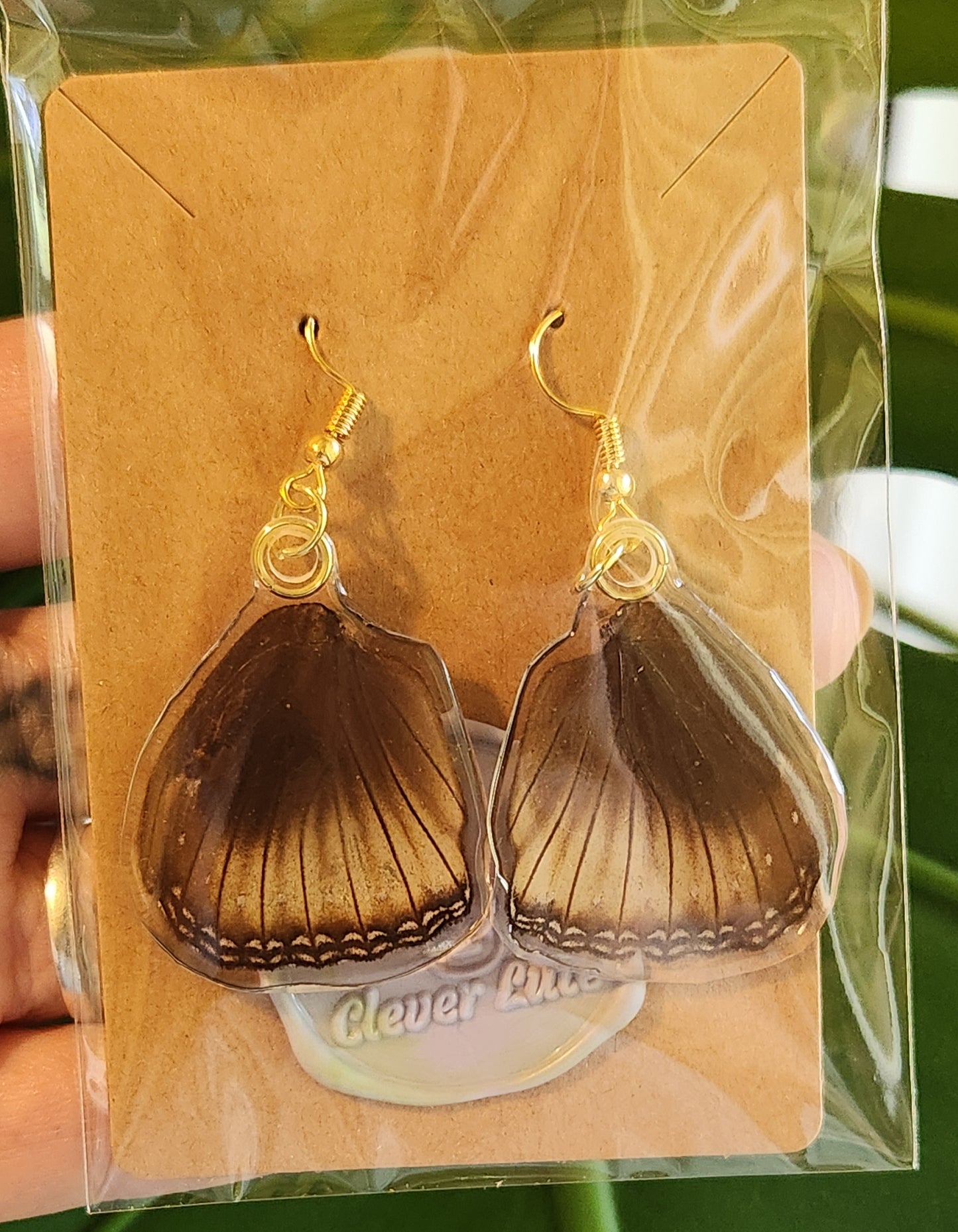 Ear-wings